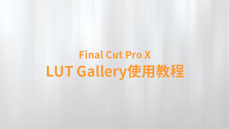 Final Cut Pro X 中文教程：（0036）第三方插件 LUT预设加载管理工具 LUT Gallery 使用教程