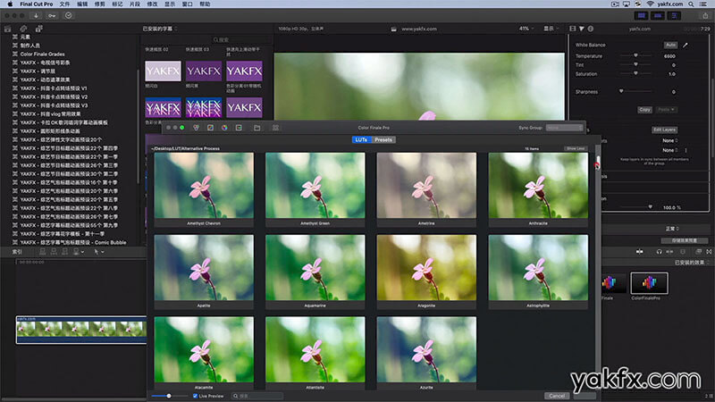Final Cut Pro X中文教程FCPX调色插件Color Finale 2如何导入加载LUT预设使用教程