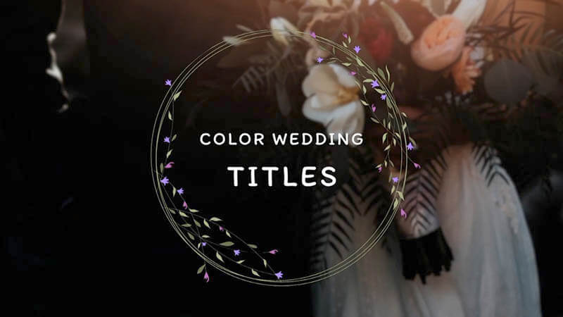 FCPX插件Color Wedding Titles花纹边框婚礼字幕标题