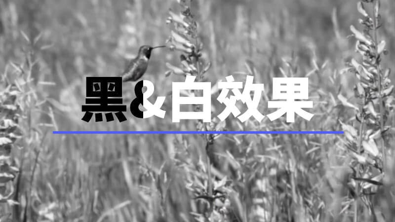 FCPX插件Better Black White视频黑白效果