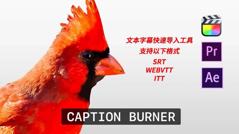 FCPX插件Caption Burner快速导入srt等文本字幕工具