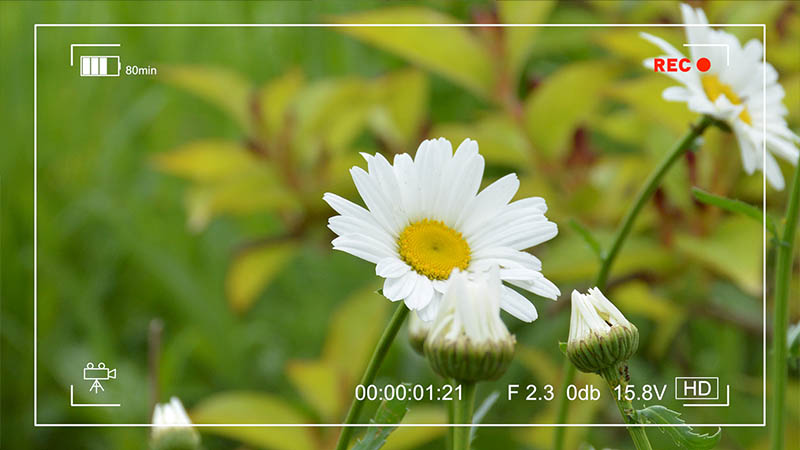 FCPX中文插件摄像机/手机录像取景框效果for Final Cut Pro X + 使用教程